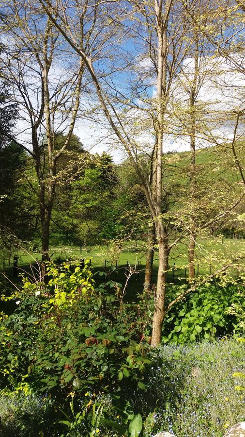 Affittacamere Idyllic Country Garden Manakau Esterno foto